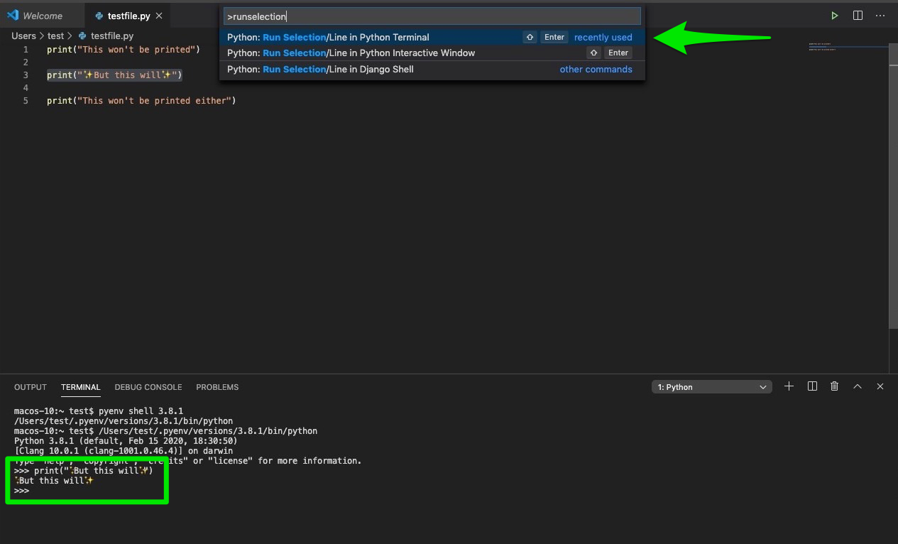 Run selection in Terminal